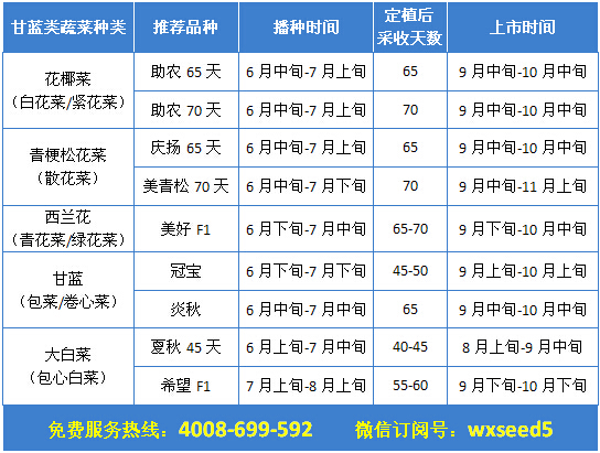 十字花科蔬菜种子夏季播种品种推荐之华北东部地区