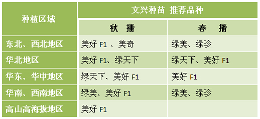 西兰花（青花菜）种子推荐品种(2015年文兴种苗）