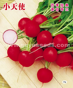<font color=red>ҶƬ��С����������,�ļ���ֲ</font>�߿��������ͷ������������䣬�ļ���ֲԴ�Ժ������ļ����ˣ������������ۣ����������ո��ã���ӣ���͸��£����ļ����֣���Ӧ�Ժã���Ʒ�Լ��ѡ�