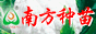 南方蔬菜种苗