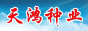 天鸿种业
