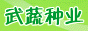 武汉植丰种苗有限责任公司-武蔬种业
