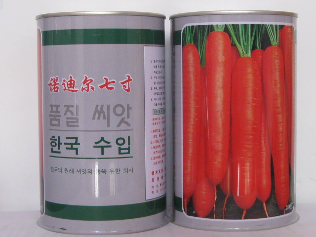 供应优质胡萝卜种子诺迪尔七寸同比坂田七寸