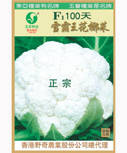 雪霸王-100天花椰菜