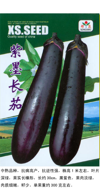 紫墨长茄