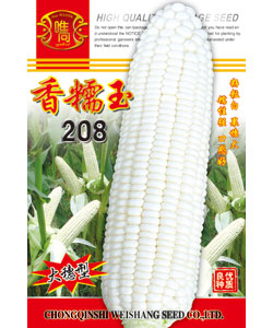 香糯玉208玉米-甜糯玉米种子