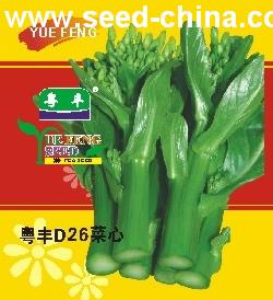粤丰D26菜心种子
