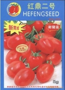 供应樱桃番茄种子－红鼎2号