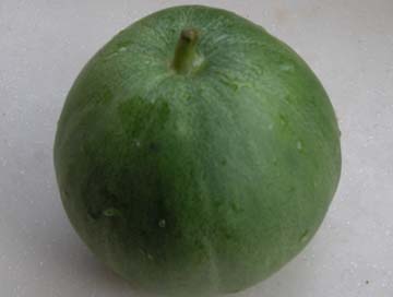 最新珍稀高糖高产绿皮绿肉薄皮甜瓜品种—中原绿宝石2号甜瓜种子