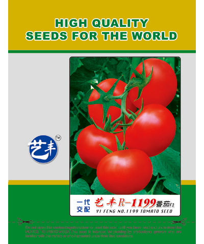 艺丰R-1199番茄