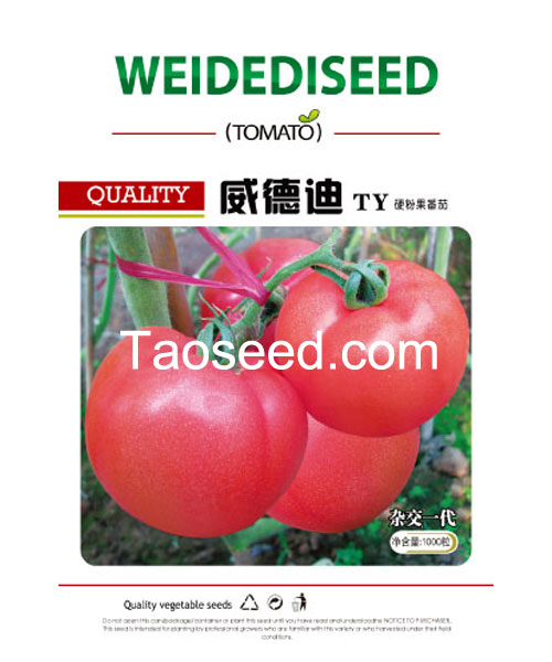 威德迪（抗TY）粉硬果番茄