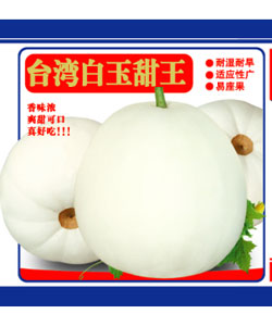 台湾白玉甜王-罐装