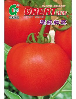 超级红冠-红果番茄
