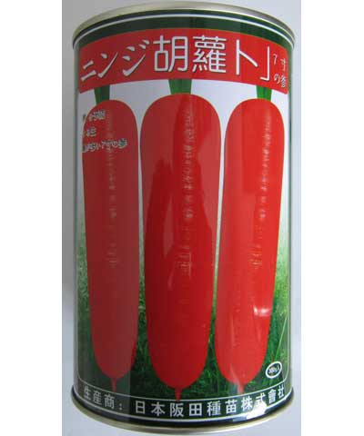东洋红笋七寸罐装