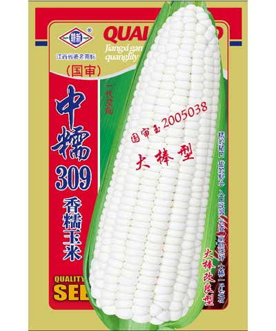 中糯309香糯玉米