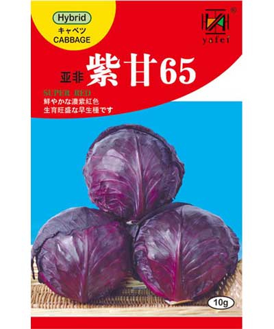 Yafei Red Cabbage 65