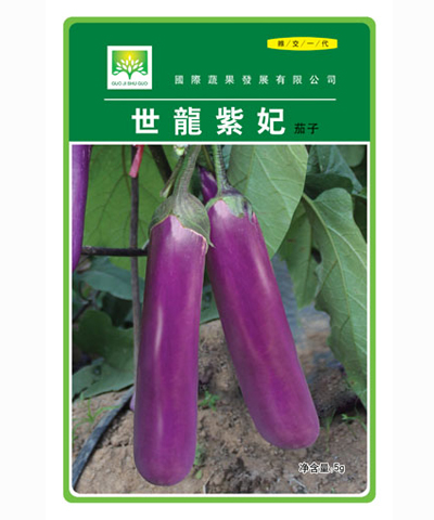世龙紫妃茄子