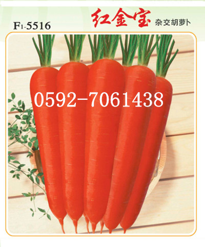 【红金宝】红萝卜种子