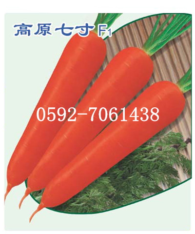【高原七寸】高产胡萝卜种子