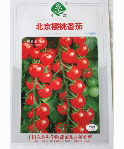 北京樱桃番茄