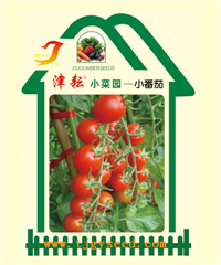 樱桃番茄小菜园