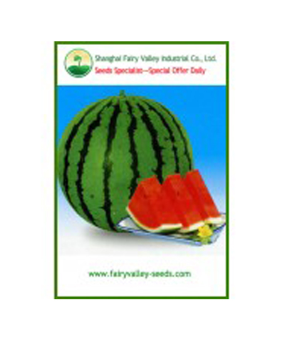  Watermelon NO.4