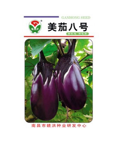 Eggplant No.5