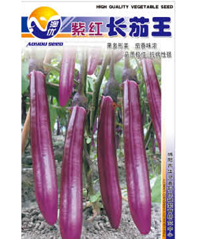 紫红长茄王