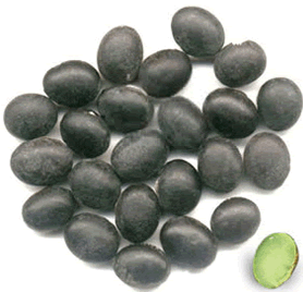 黑青仁豆--大豆