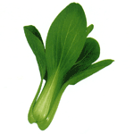 黑夏青菜－－叶柄深绿色、商品性优秀、丰产的油菜种子