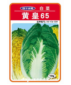 黄皇65——大白菜