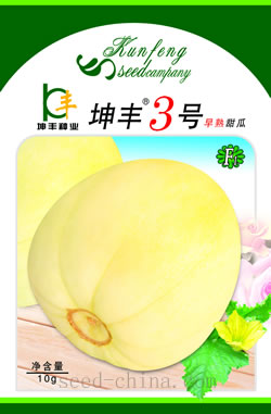 坤丰®3号 F1-甜瓜