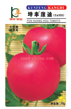 坤丰®康迪-番茄