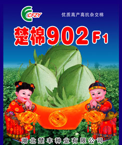楚棉902F1