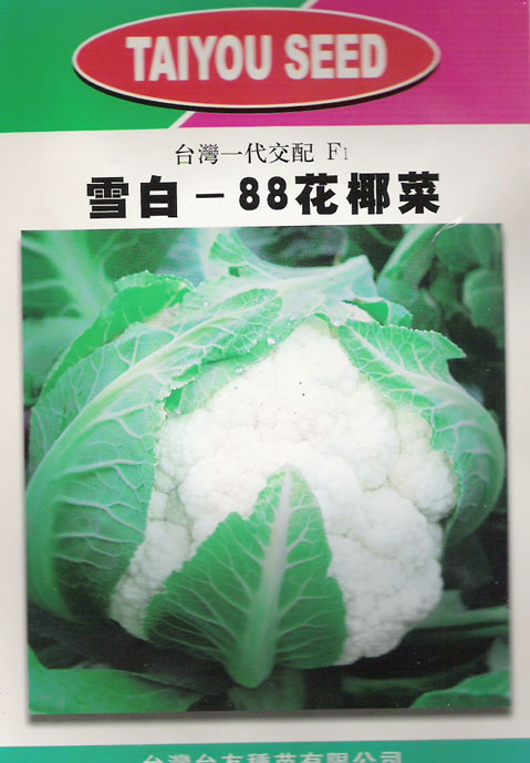 雪白88花椰菜