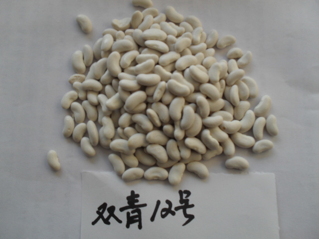 点击在新窗口中打开