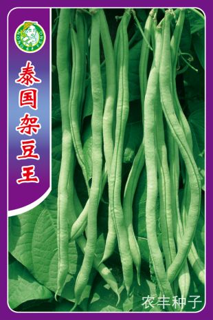 点击在新窗口中打开