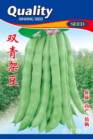 点击在新窗口中打开