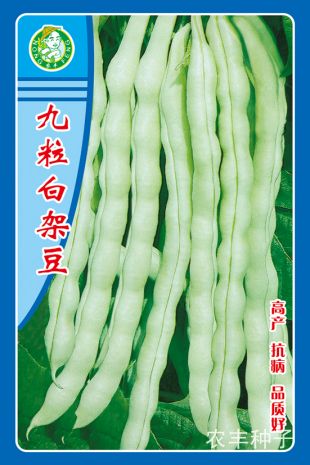 点击在新窗口中打开