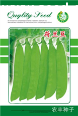 点击在新窗口中打开