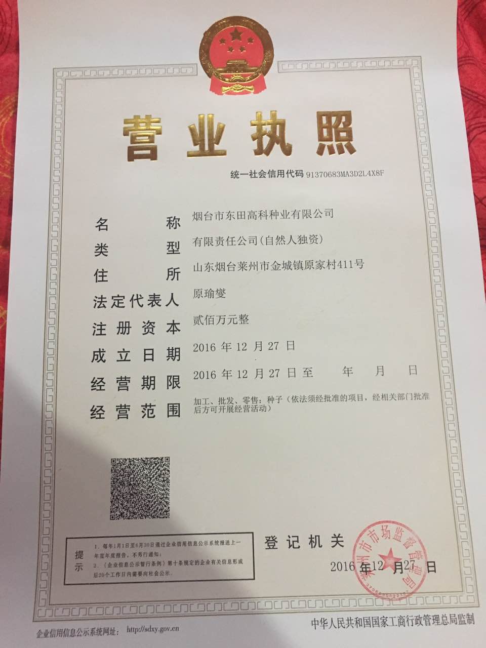 点击查看大图