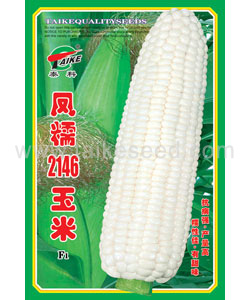 凤糯2146玉米