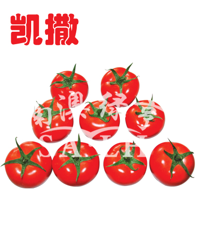 番茄种子-凯撒