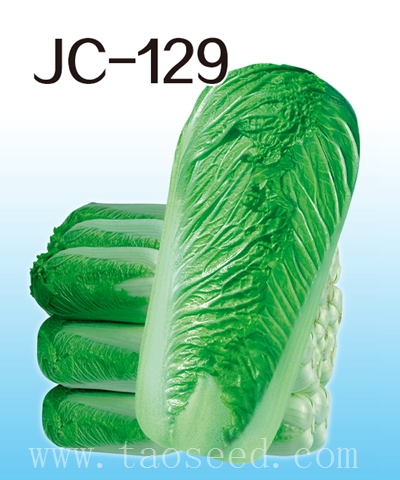 JC-129