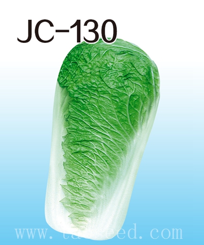 JC-130
