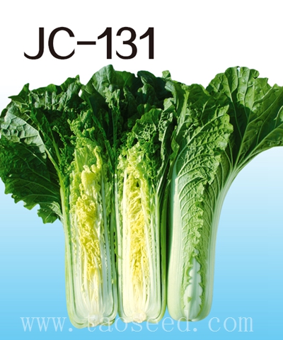JC-131