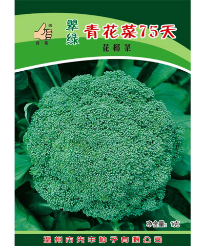 翠绿青花菜75天(净含量：1克)