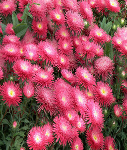 点击在新窗口中打开